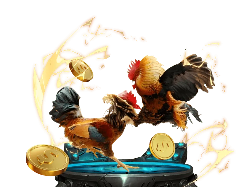 Hình ảnh minh họa chính sách quyền riêng tư của đăng nhập go8